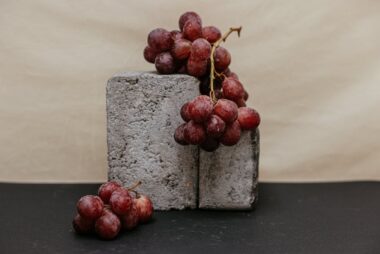 red round fruits on gray concrete box